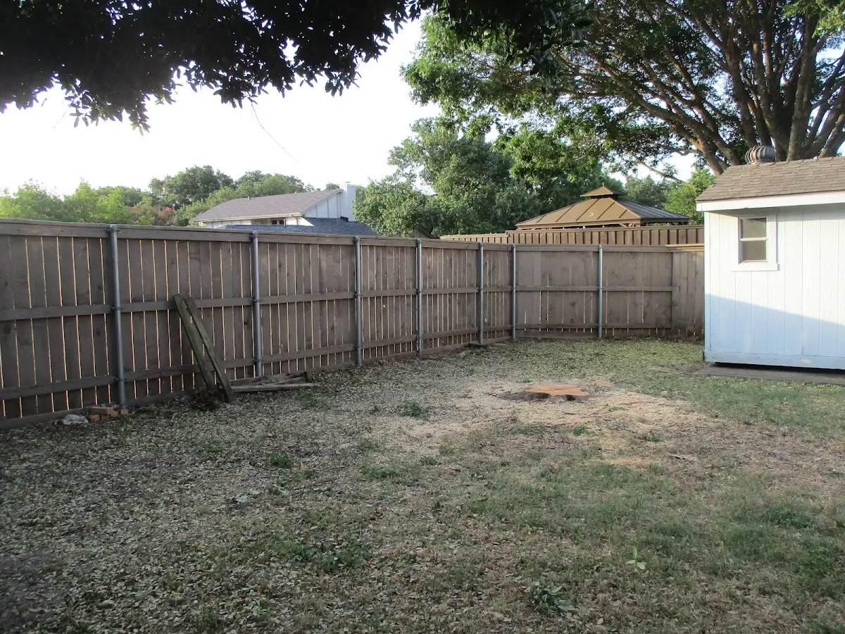 Cleared yard after professional tree removal in Harpersfield